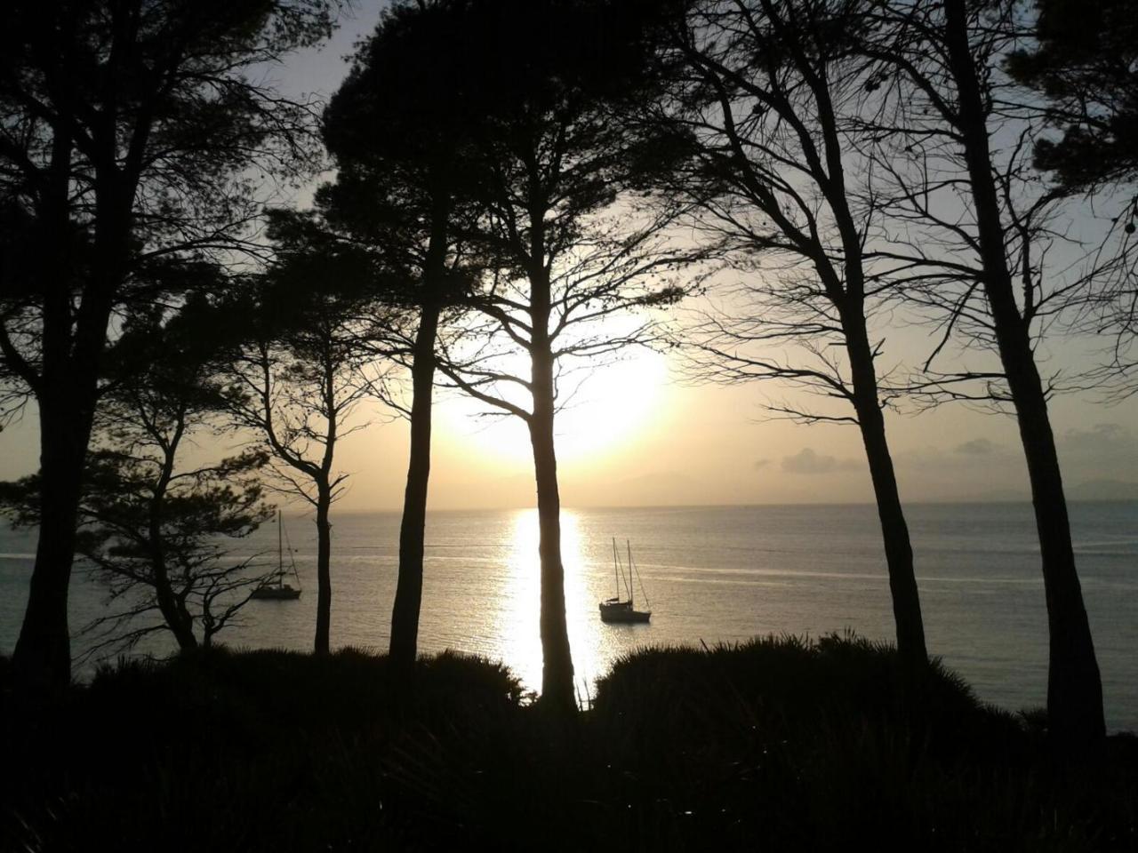 Rosers Colònia de Sant Pere